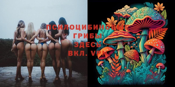мяу мяу мука Баксан