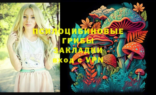 мяу мяу мука Баксан