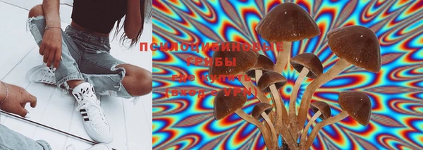 мяу мяу мука Баксан