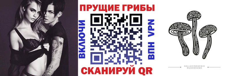 Галлюциногенные грибы ЛСД  Власиха 